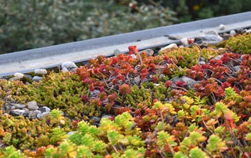 the cost of Bountis Thorne green roof installation