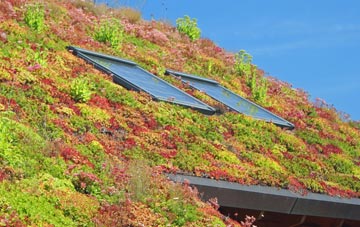 Bountis Thorne living roof systems